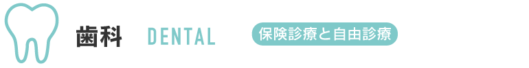 歯科